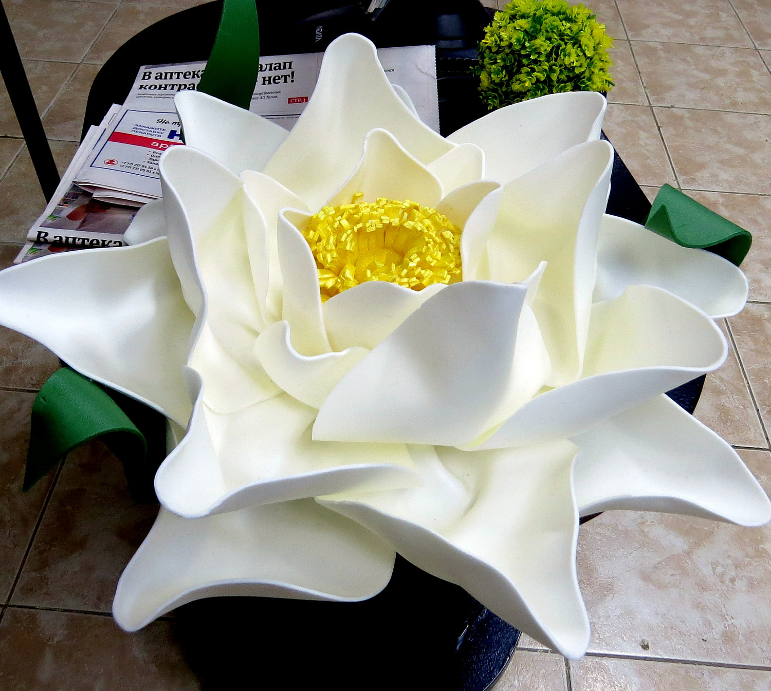 Химчистка Лотос: одинаковых заказов не бывает! 